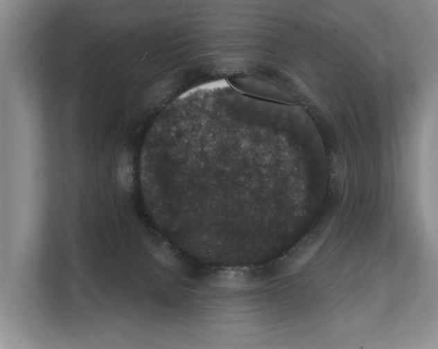 X0000111830080200909031522