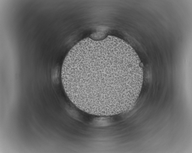 X0000111830082200909031522