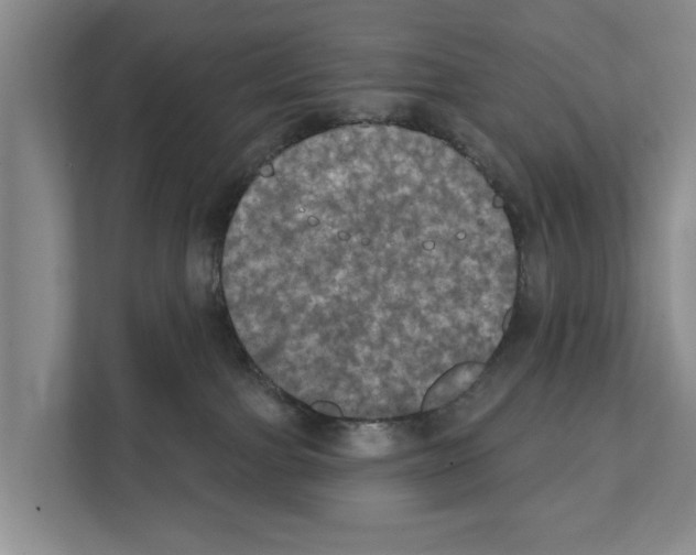X0000111830091200909031522