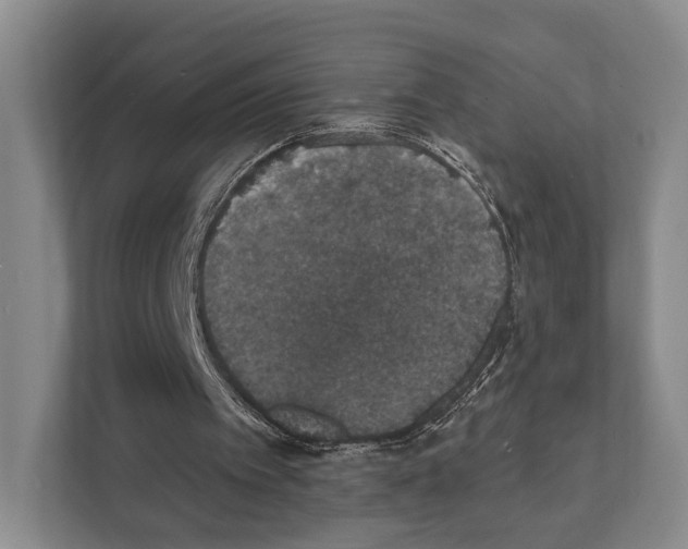 X0000111830097200909031521