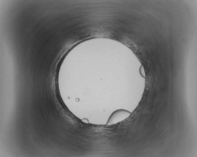X0000111830098200909031521
