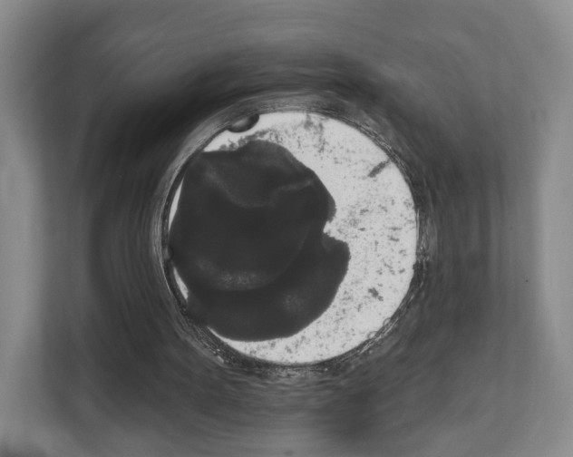 X0000111830099200909031521