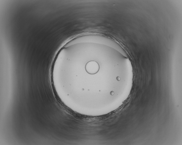 X0000111830100200909031521