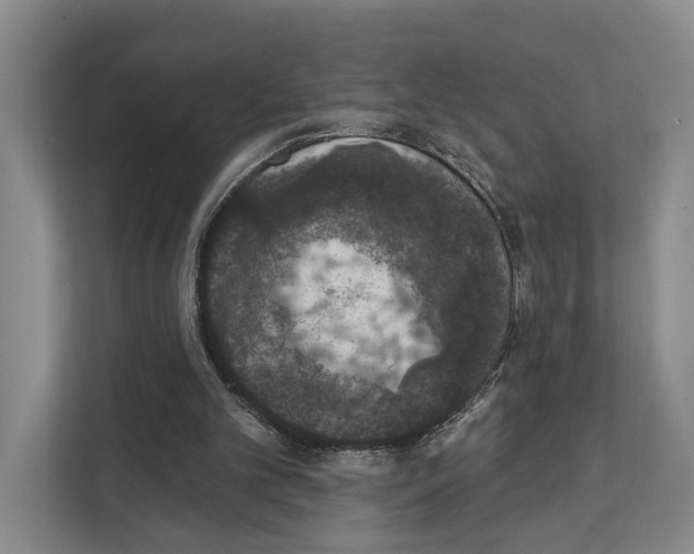 X0000111830101200909031521