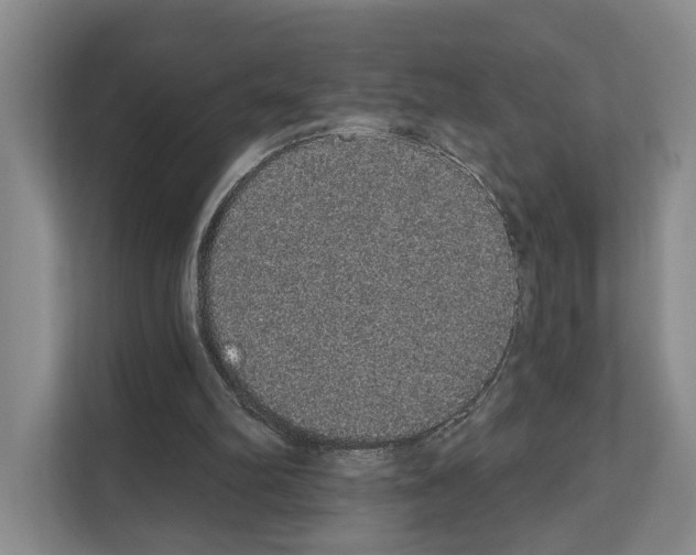 X0000111830102200909031521
