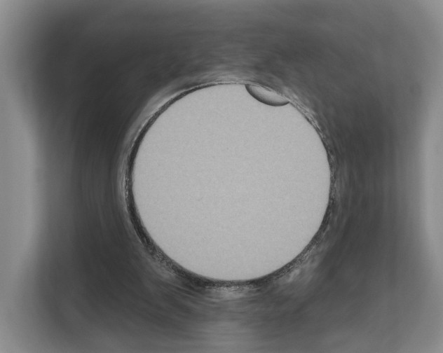 X0000111830103200909031521