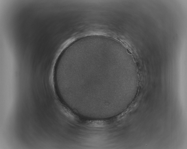 X0000111830104200909031521