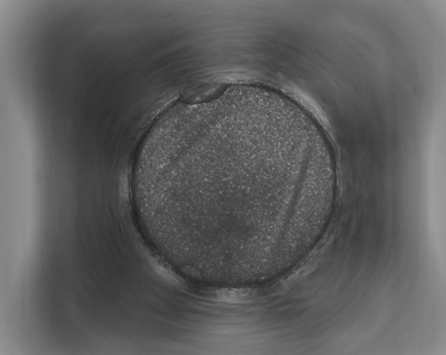X0000111830105200909031521