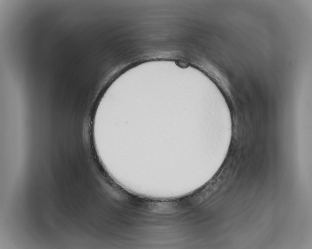X0000111830107200909031521