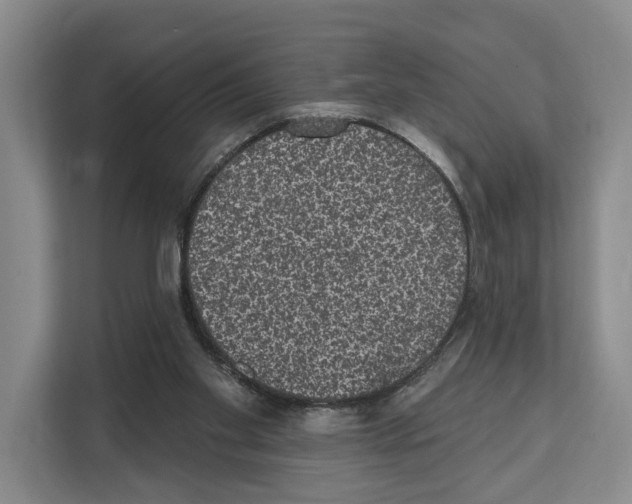 X0000111830109200909031521