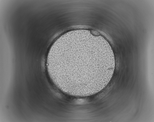 X0000111830111200909031521