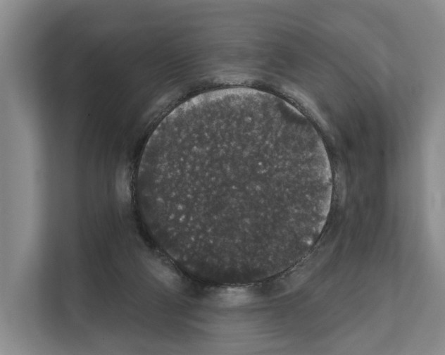 X0000111830114200909031521