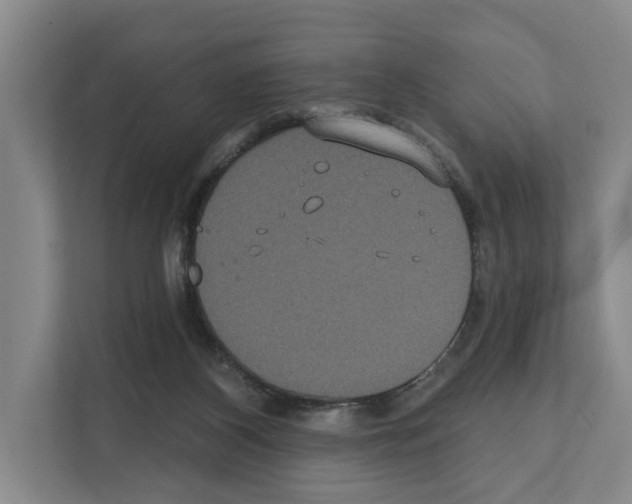 X0000111830116200909031521