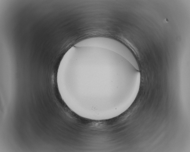 X0000111830117200909031521