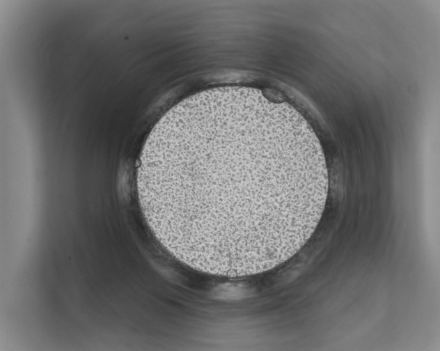 X0000111830119200909031521