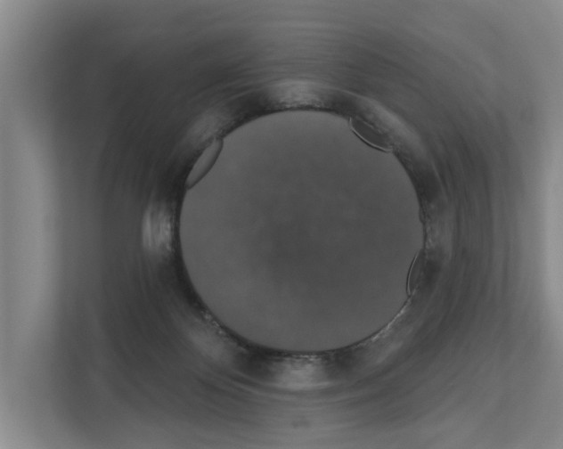X0000111830124200909031521