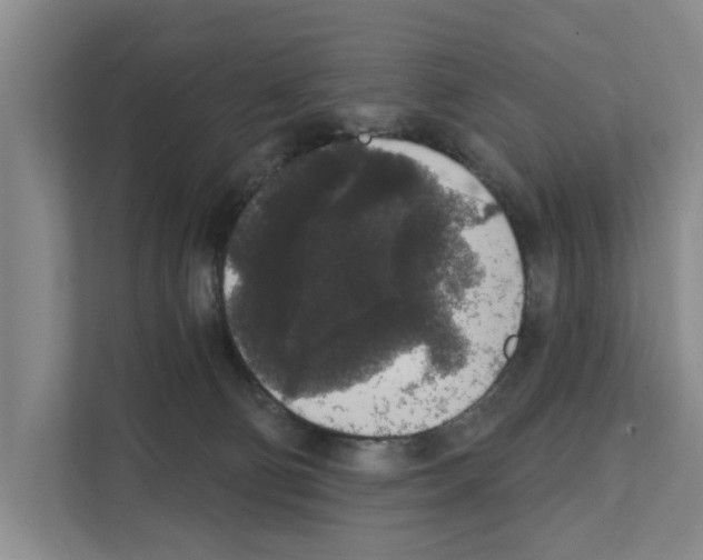 X0000111830130200909031521