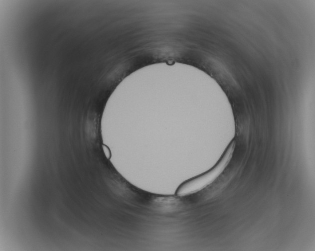 X0000111830133200909031521