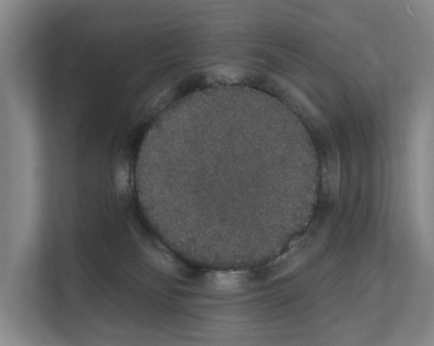 X0000111830134200909031521