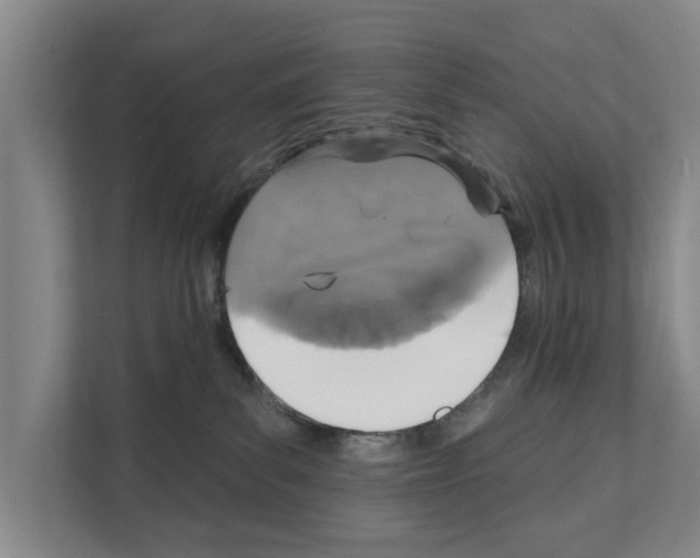 X0000111830139200909031521