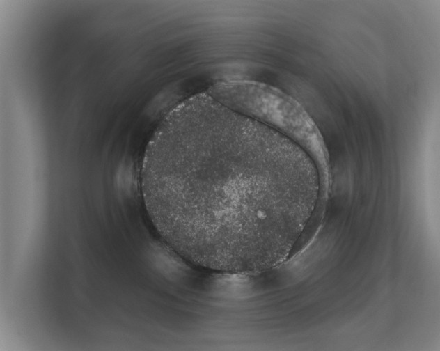 X0000111830140200909031521