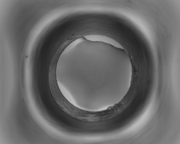 X0000111830143200909031521