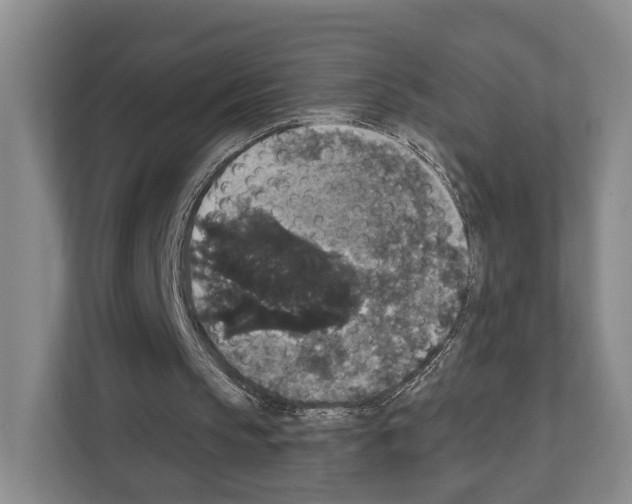 X0000111830145200909031520