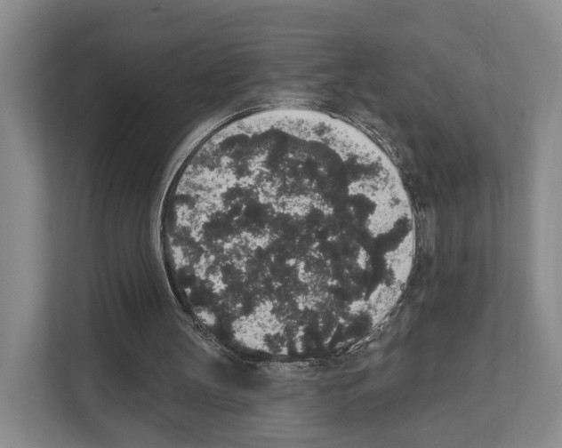 X0000111830147200909031520