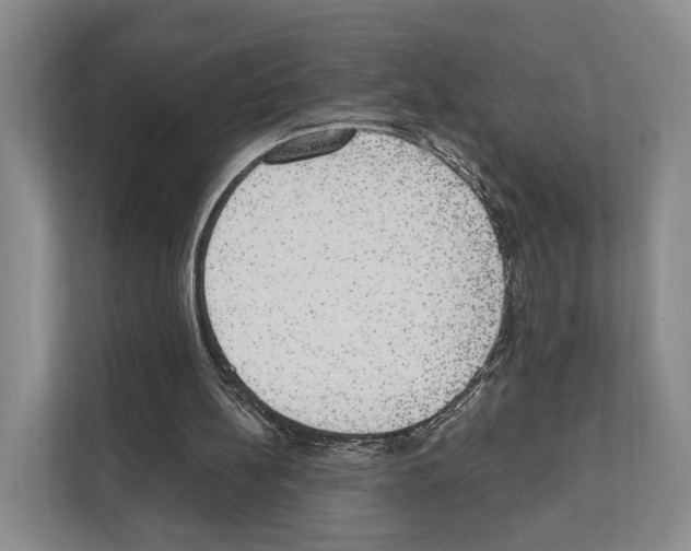 X0000111830148200909031520