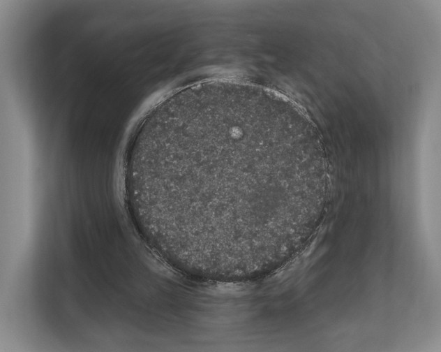 X0000111830149200909031520