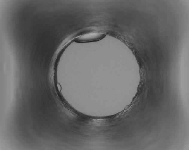 X0000111830150200909031520