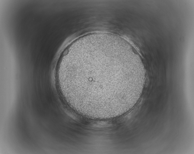 X0000111830151200909031520