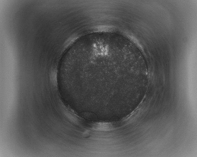 X0000111830154200909031520