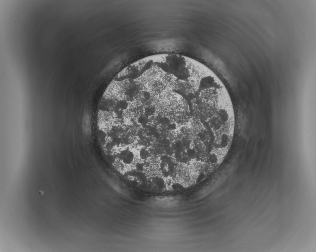 X0000111830161200909031520
