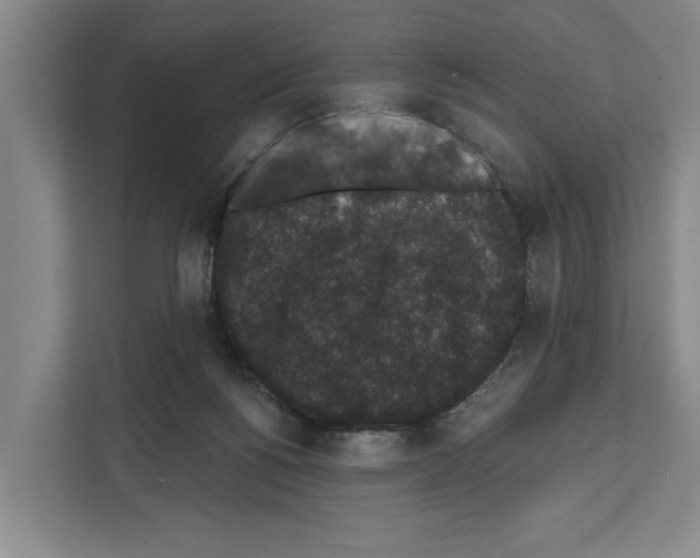 X0000111830168200909031520
