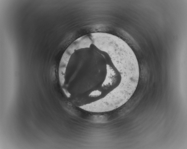X0000111830169200909031520