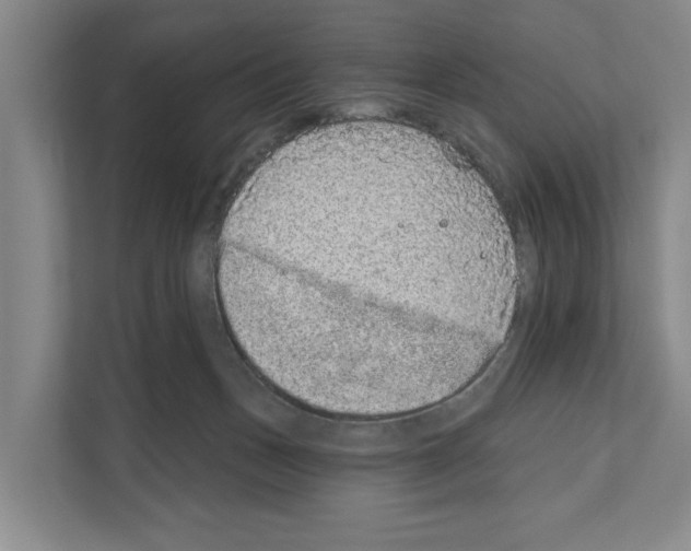 X0000111830175200909031521