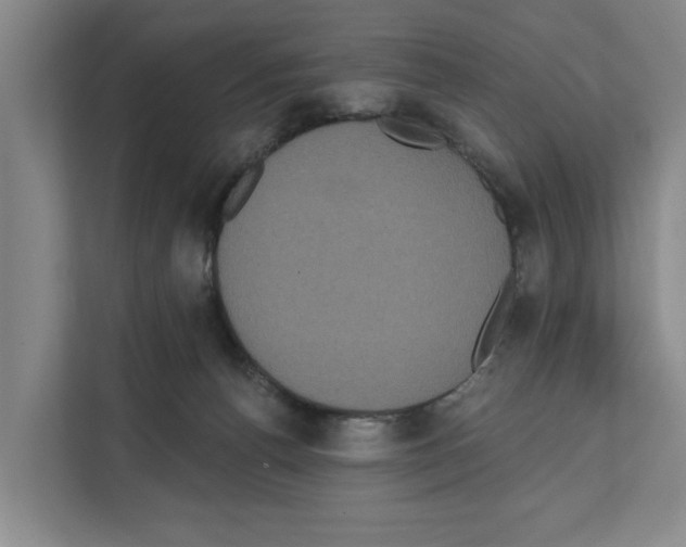 X0000111830176200909031521