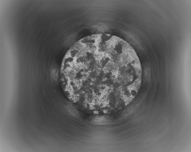 X0000111830177200909031521