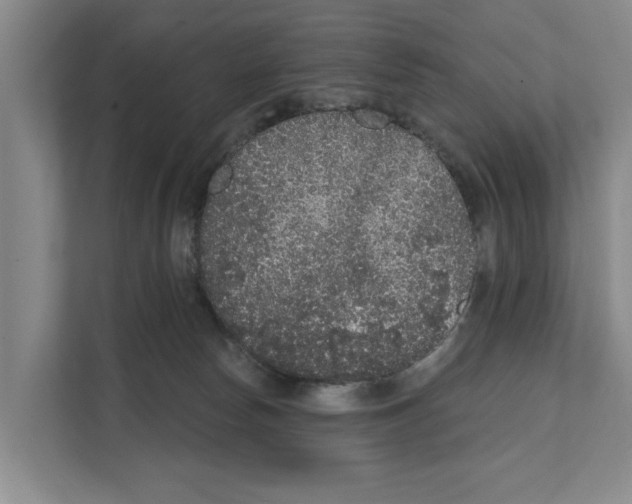 X0000111830178200909031521