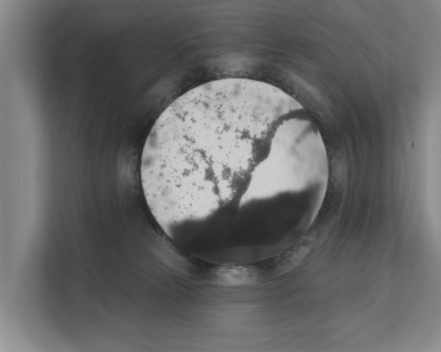 X0000111830181200909031521