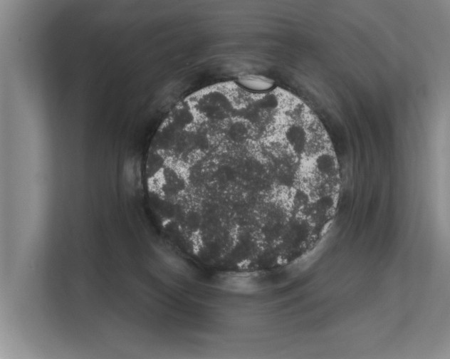 X0000111830182200909031521