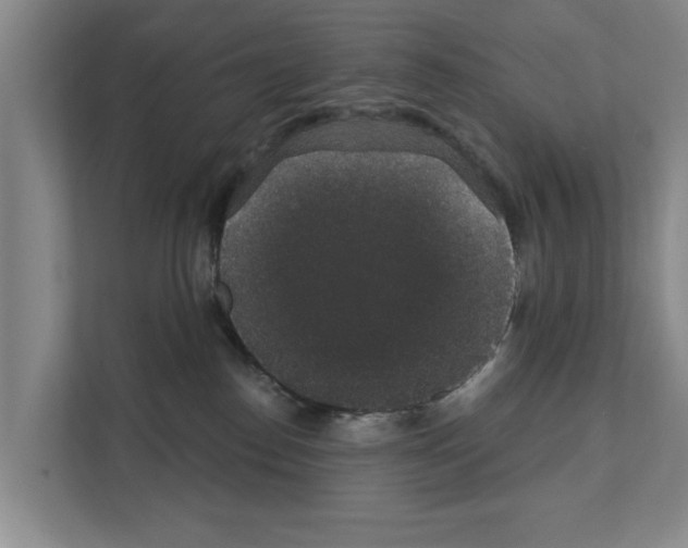 X0000111830186200909031521