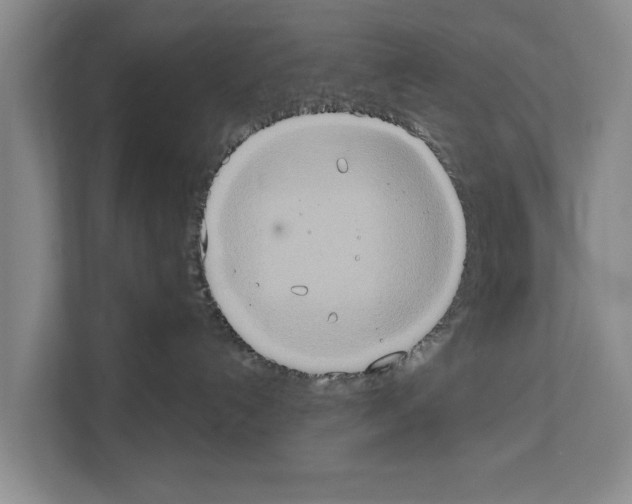 X0000111830192200909031521