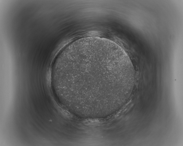 X0000111830194200909031520