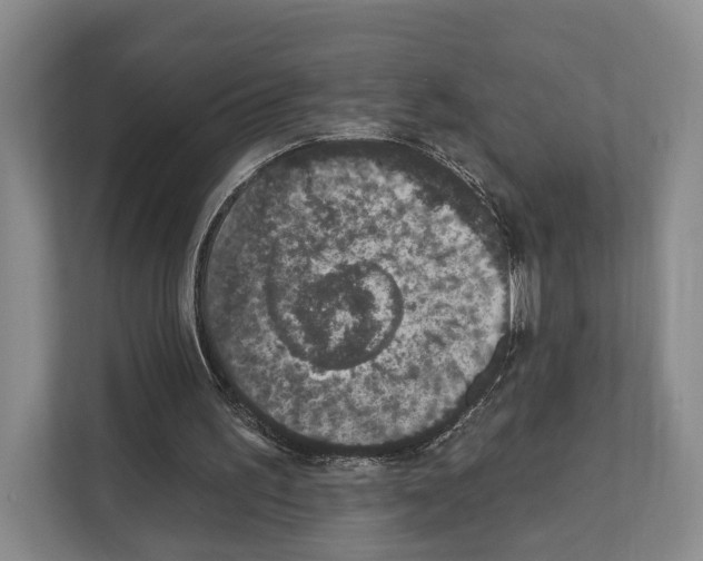 X0000111830195200909031520