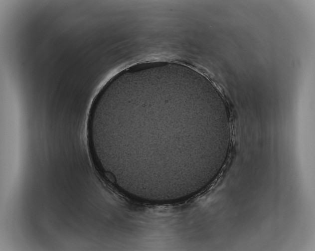 X0000111830196200909031520