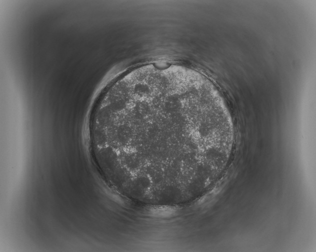 X0000111830198200909031520