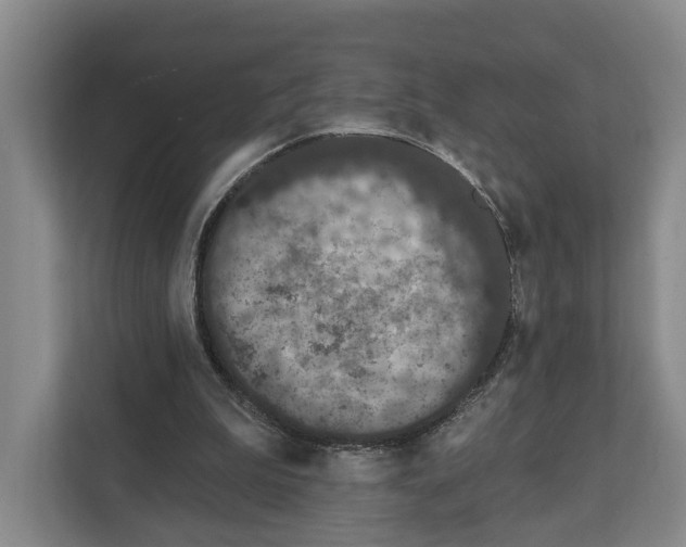 X0000111830199200909031520