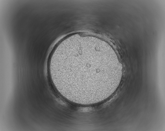 X0000111830200200909031520